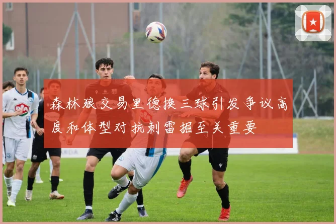森林狼交易里德换三球引发争议高度和体型对抗刺雷掘至关重要